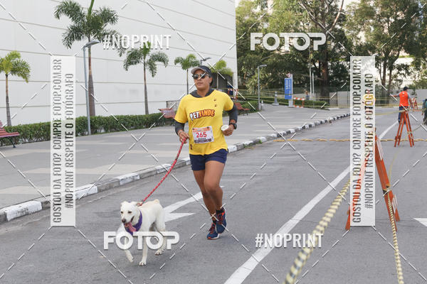 Buy your photos of the eventCorrida Pet Finde on Fotop