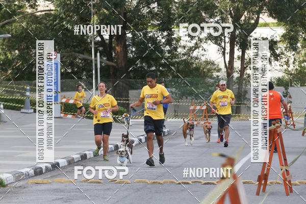 Buy your photos of the eventCorrida Pet Finde on Fotop