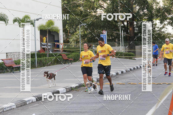 Buy your photos of the eventCorrida Pet Finde on Fotop