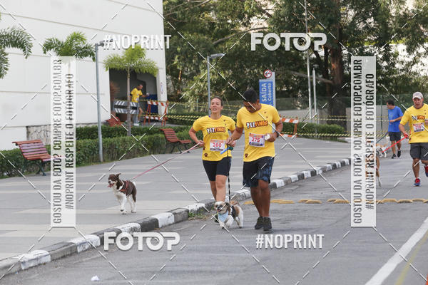 Buy your photos of the eventCorrida Pet Finde on Fotop
