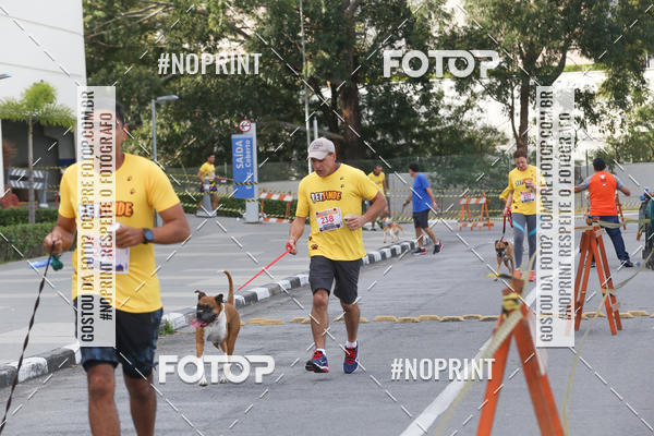 Buy your photos of the eventCorrida Pet Finde on Fotop