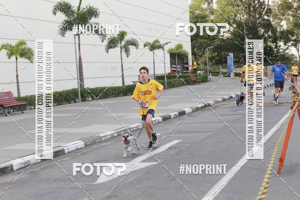Buy your photos of the eventCorrida Pet Finde on Fotop