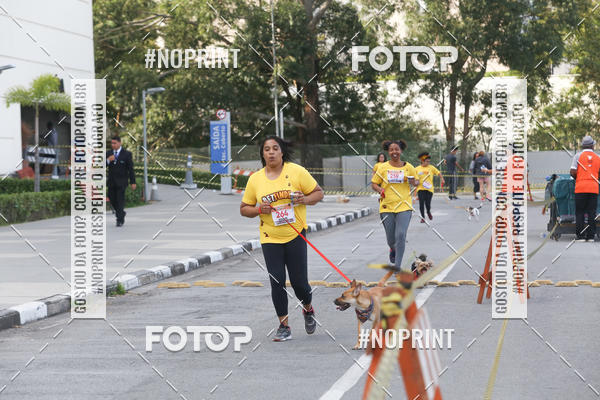 Buy your photos of the eventCorrida Pet Finde on Fotop