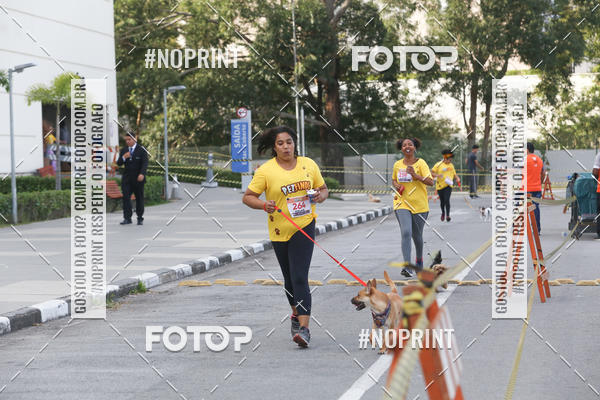 Buy your photos of the eventCorrida Pet Finde on Fotop