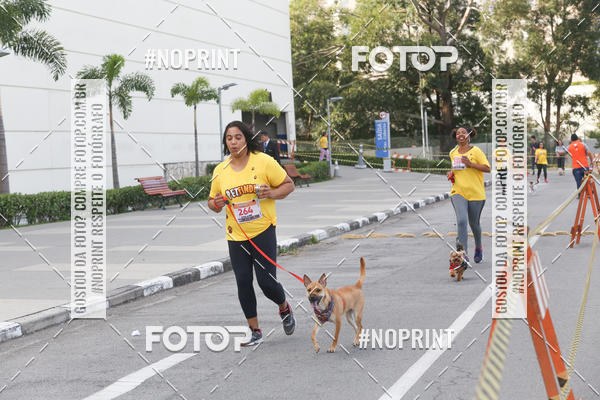 Buy your photos of the eventCorrida Pet Finde on Fotop