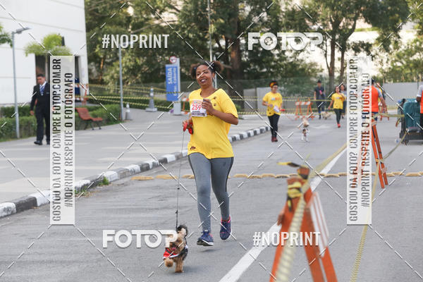 Buy your photos of the eventCorrida Pet Finde on Fotop