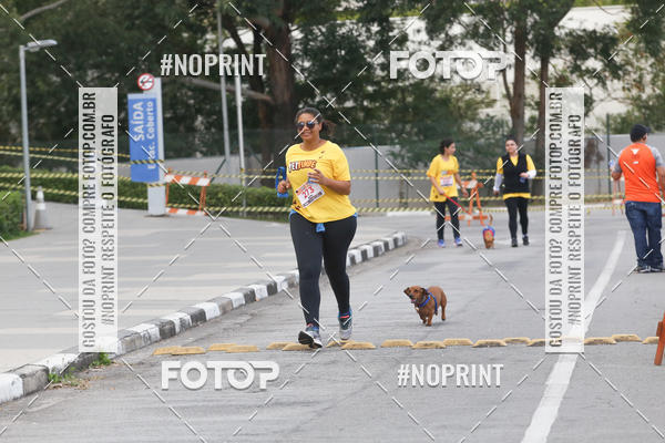 Buy your photos of the eventCorrida Pet Finde on Fotop