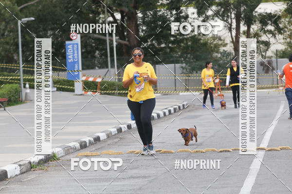 Buy your photos of the eventCorrida Pet Finde on Fotop