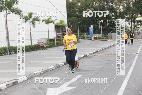 Buy your photos of the eventCorrida Pet Finde on Fotop
