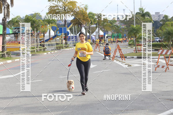 Buy your photos of the eventCorrida Pet Finde on Fotop