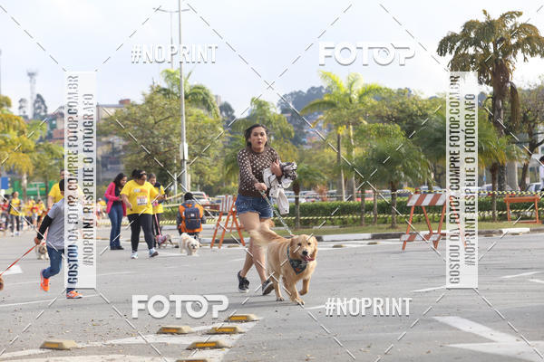 Buy your photos of the eventCorrida Pet Finde on Fotop