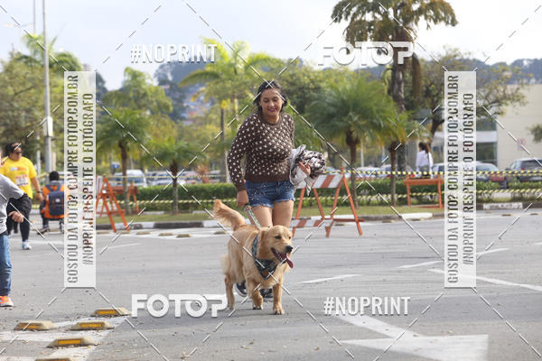 Buy your photos of the eventCorrida Pet Finde on Fotop