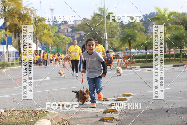 Buy your photos of the eventCorrida Pet Finde on Fotop