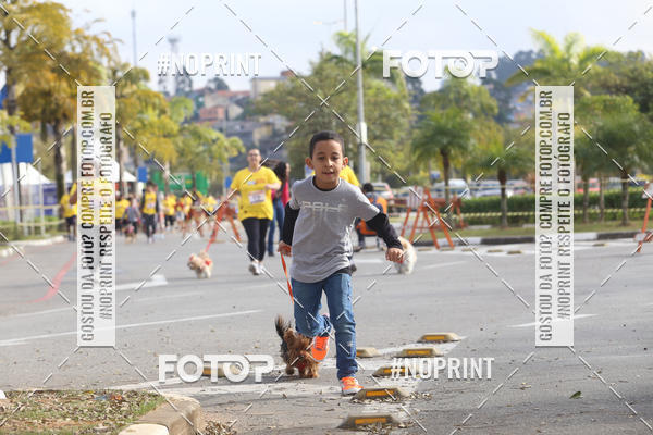 Buy your photos of the eventCorrida Pet Finde on Fotop