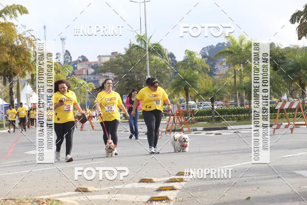 Buy your photos of the eventCorrida Pet Finde on Fotop