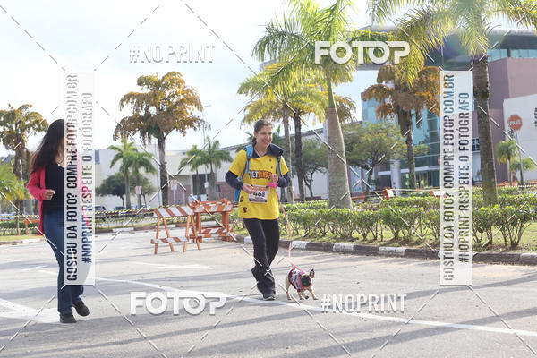 Buy your photos of the eventCorrida Pet Finde on Fotop