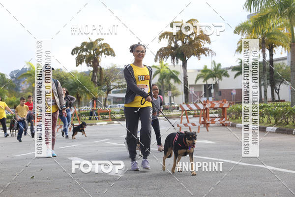 Buy your photos of the eventCorrida Pet Finde on Fotop