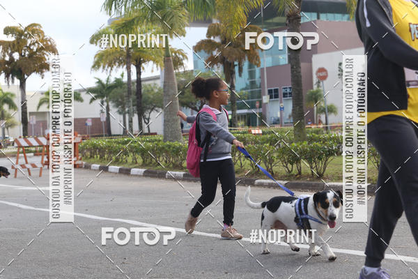 Buy your photos of the eventCorrida Pet Finde on Fotop