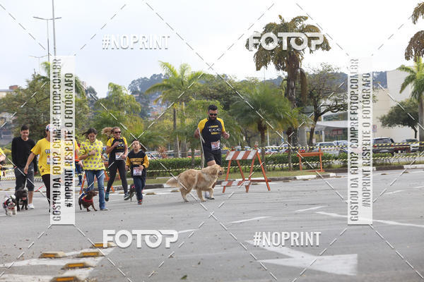 Buy your photos of the eventCorrida Pet Finde on Fotop