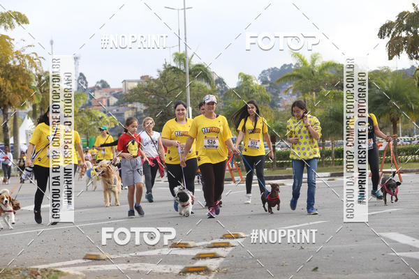 Buy your photos of the eventCorrida Pet Finde on Fotop