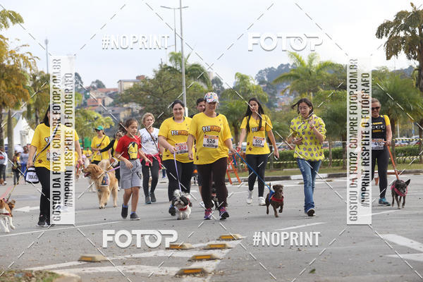 Buy your photos of the eventCorrida Pet Finde on Fotop