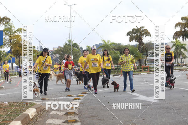 Buy your photos of the eventCorrida Pet Finde on Fotop