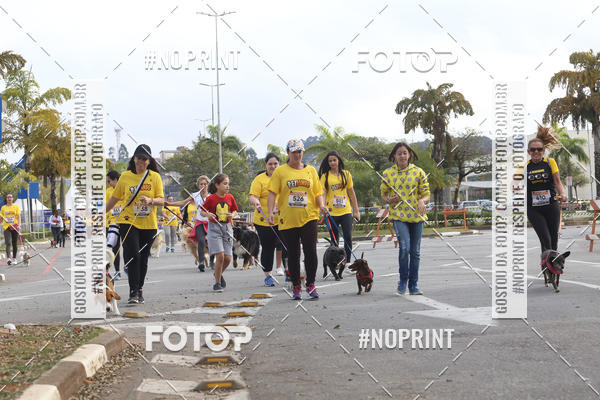 Buy your photos of the eventCorrida Pet Finde on Fotop