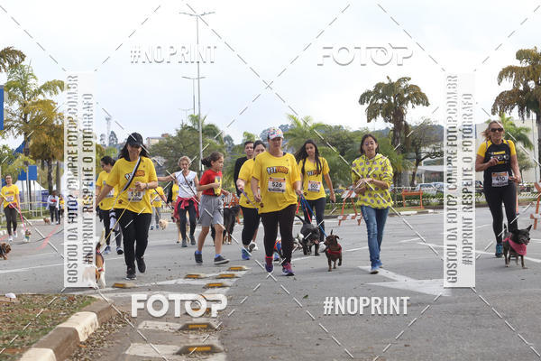 Buy your photos of the eventCorrida Pet Finde on Fotop