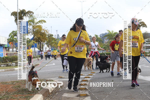 Buy your photos of the eventCorrida Pet Finde on Fotop
