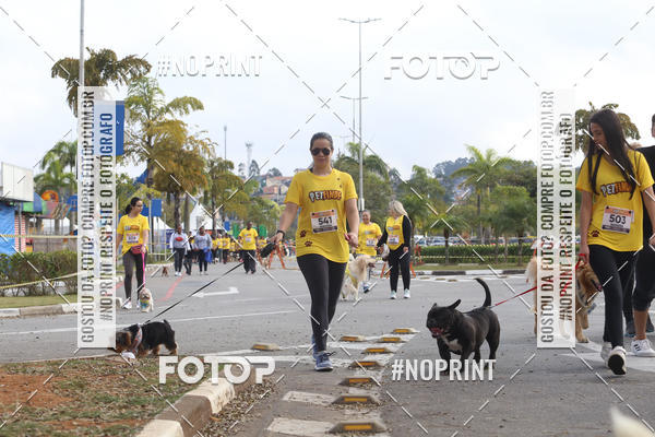 Buy your photos of the eventCorrida Pet Finde on Fotop