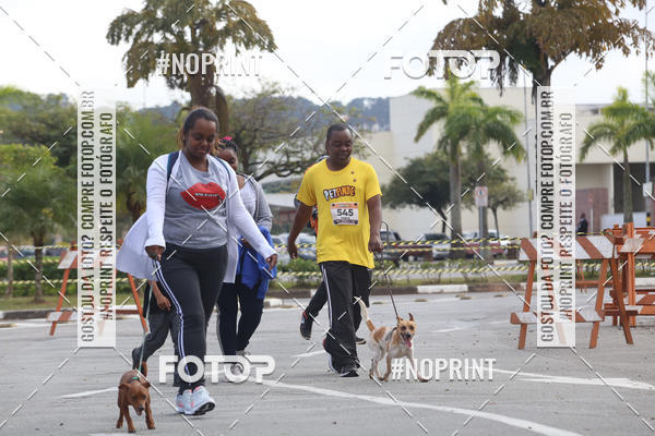 Buy your photos of the eventCorrida Pet Finde on Fotop