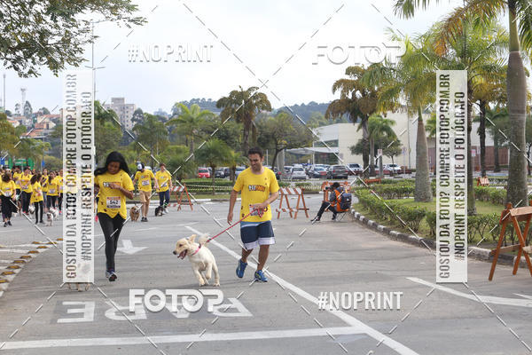 Buy your photos of the eventCorrida Pet Finde on Fotop