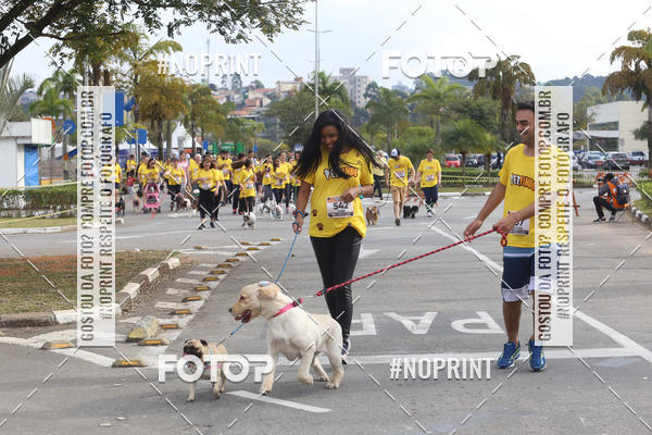 Buy your photos of the eventCorrida Pet Finde on Fotop
