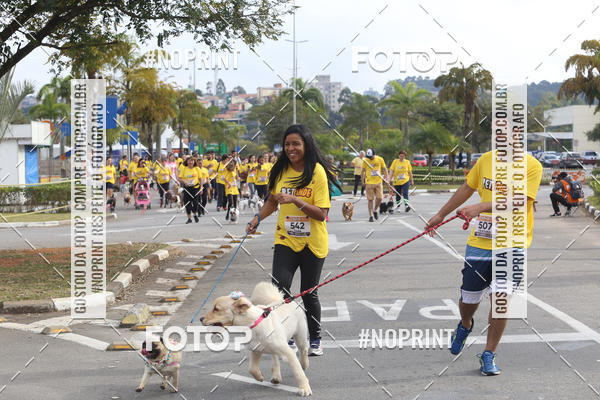 Buy your photos of the eventCorrida Pet Finde on Fotop