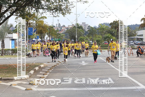 Buy your photos of the eventCorrida Pet Finde on Fotop