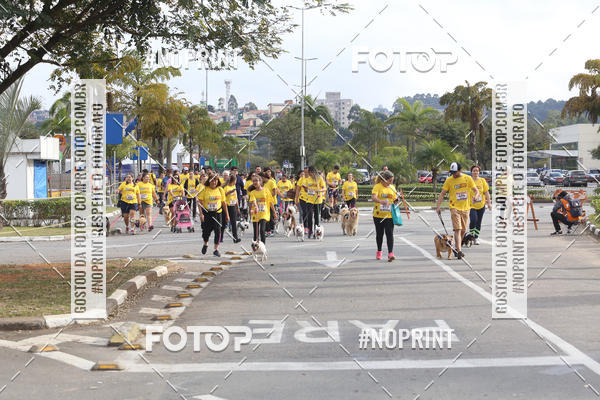 Buy your photos of the eventCorrida Pet Finde on Fotop