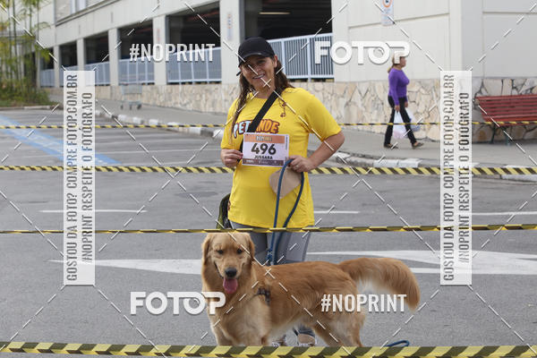 Buy your photos of the eventCorrida Pet Finde on Fotop