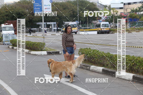 Buy your photos of the eventCorrida Pet Finde on Fotop