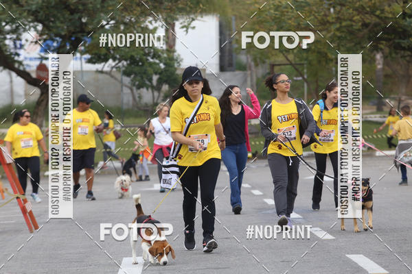 Buy your photos of the eventCorrida Pet Finde on Fotop