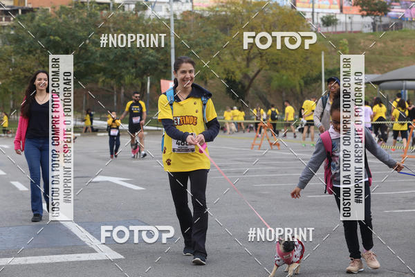 Buy your photos of the eventCorrida Pet Finde on Fotop
