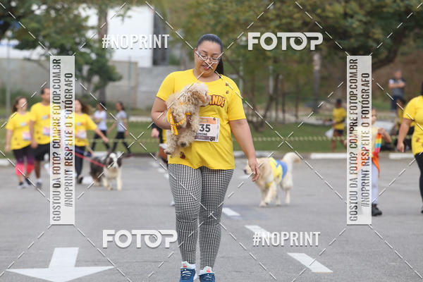 Buy your photos of the eventCorrida Pet Finde on Fotop