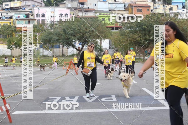 Buy your photos of the eventCorrida Pet Finde on Fotop