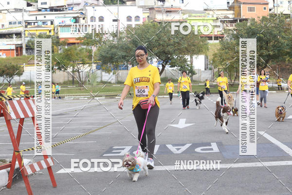 Buy your photos of the eventCorrida Pet Finde on Fotop