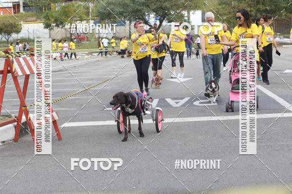 Buy your photos of the eventCorrida Pet Finde on Fotop