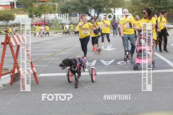 Buy your photos of the eventCorrida Pet Finde on Fotop