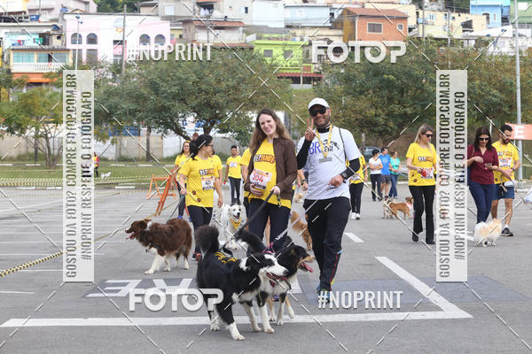 Buy your photos of the eventCorrida Pet Finde on Fotop