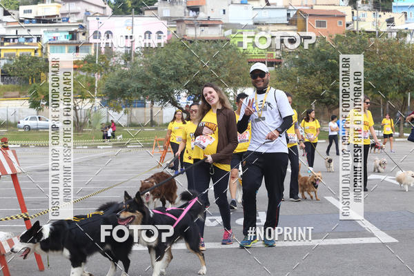 Buy your photos of the eventCorrida Pet Finde on Fotop