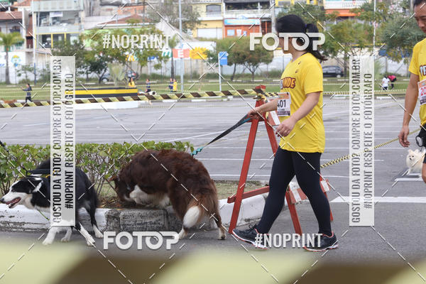 Buy your photos of the eventCorrida Pet Finde on Fotop