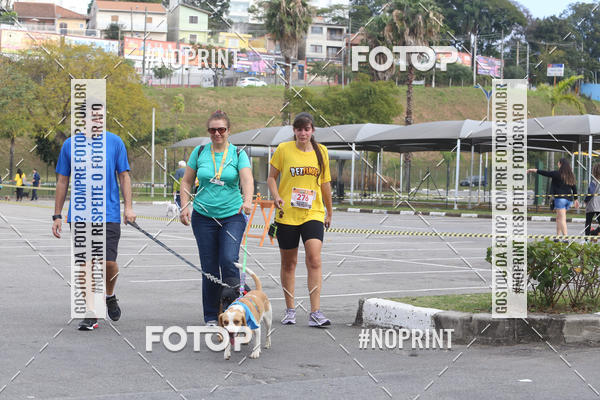 Buy your photos of the eventCorrida Pet Finde on Fotop