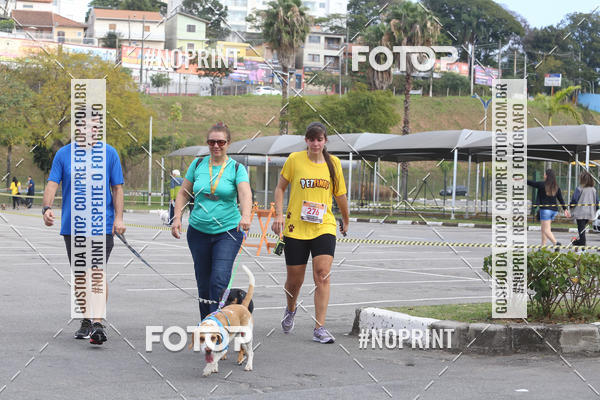 Buy your photos of the eventCorrida Pet Finde on Fotop